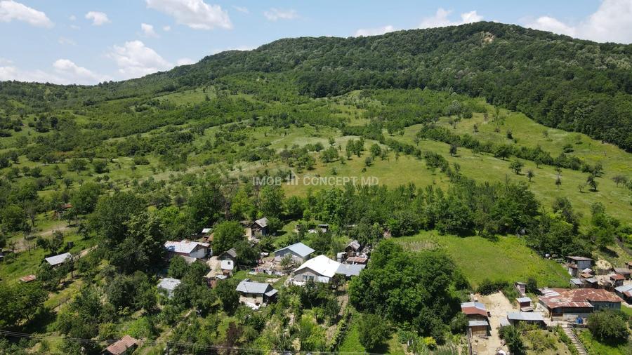 Teren agricol extravilan de 16189 mp, în Șoimari