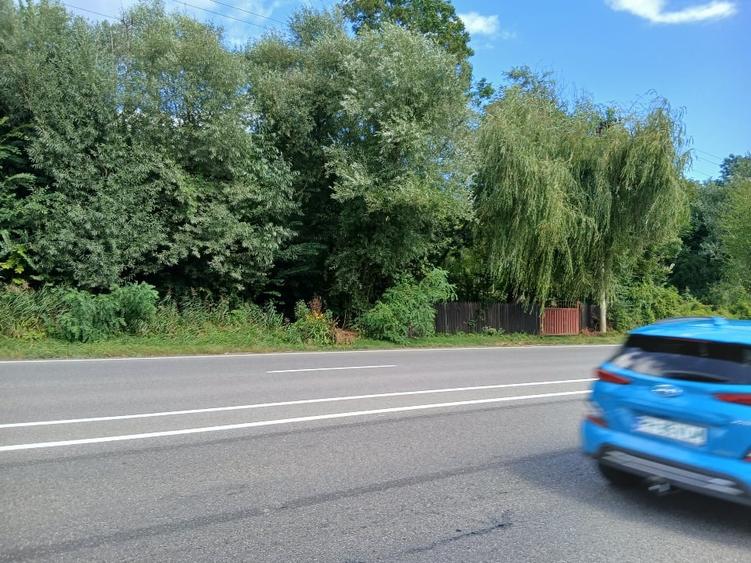 Teren Construcții intravilan de 2577 mp, în Frăsinet