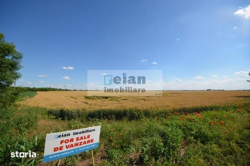 Teren de 28500 mp, în Movilița