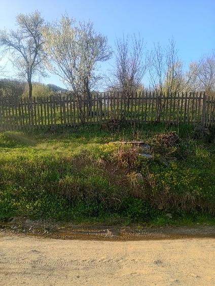 Teren Construcții intravilan de 1000 mp, în Meteș