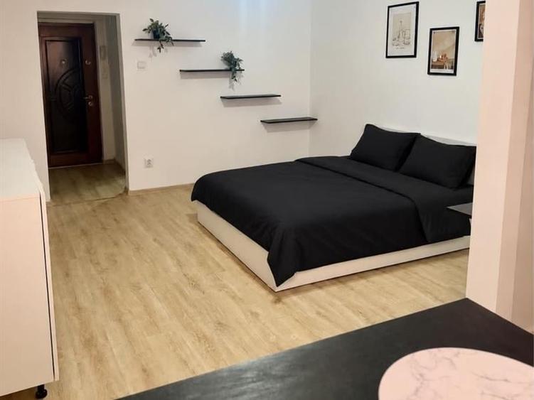 Garsonieră, mobilată în Brazda lui Novac