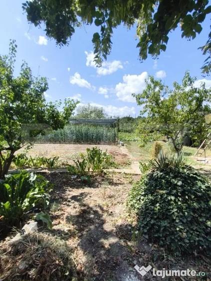 Casă cu 3 camere cu Teren 1400 Mp în Central