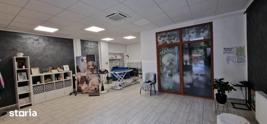 Spațiu comercial, de 50 mp, în Central