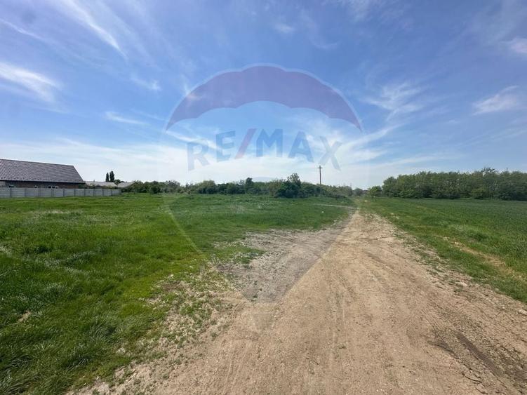 Teren Construcții intravilan de 545000 mp, în Dragomirești-Vale