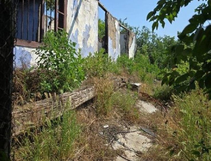 Casa si teren Cucuruzu, ID: R2609648 - 11
