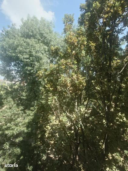 Apartament cu 4 camere decomandat în Nord