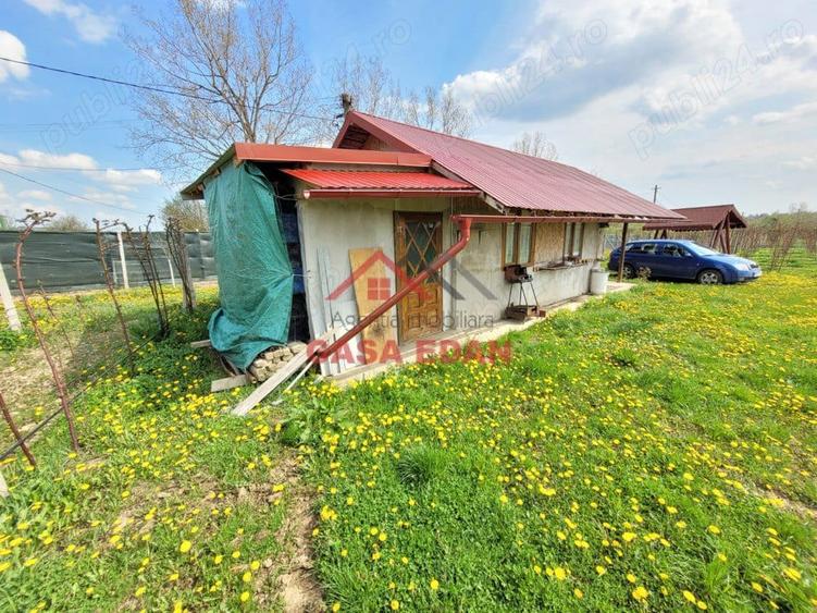 Teren extravilan in Baicoi 10.000mp plantatie mure --80.000e - 7