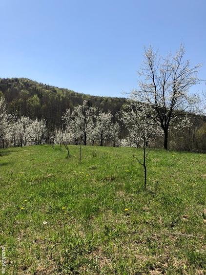 Teren de 9104 mp, în Brebu