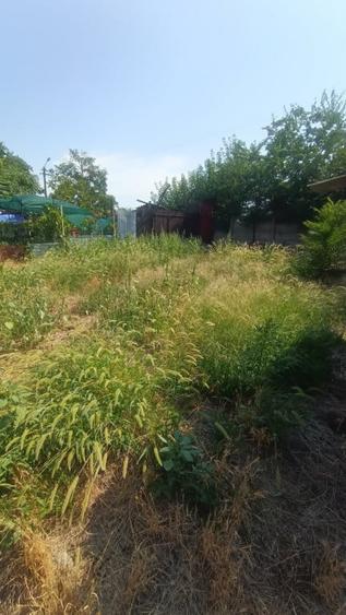 Casa P+1, 250 mp utili, 500 mp teren, zona Brestei - 4
