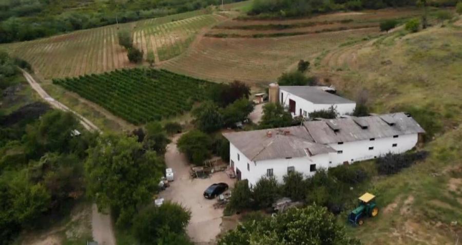 Teren intravilan de 1000 mp, în Est