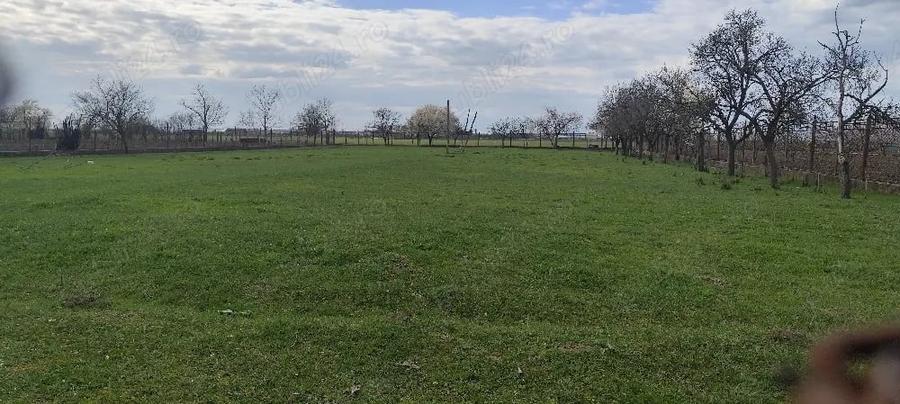Teren de 2914 mp, în Șiria