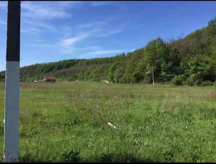 Teren de 1700 mp, în Bascov