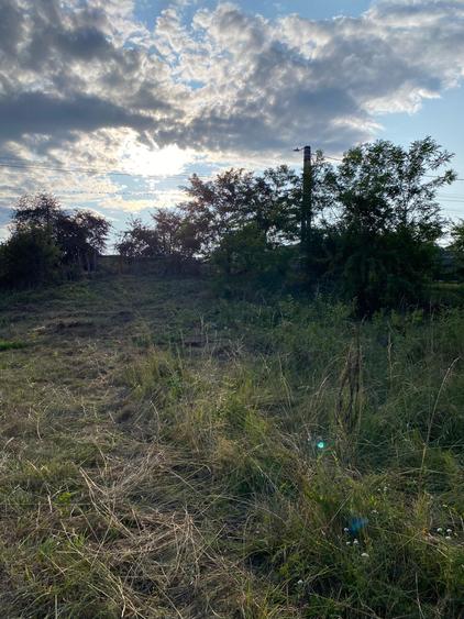 Teren Construcții intravilan de 2039 mp, în Curtea de Argeș