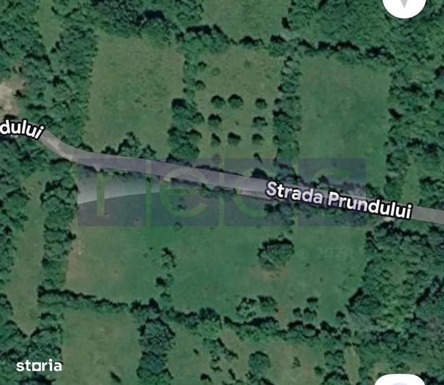 Teren de 2200 mp, în Valea Doftanei