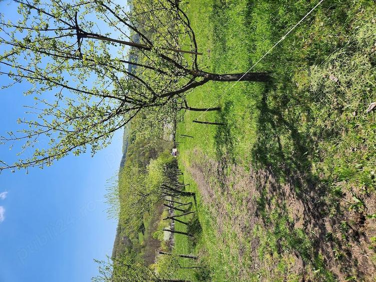 Teren de 16000 mp, în Nucșoara de Jos