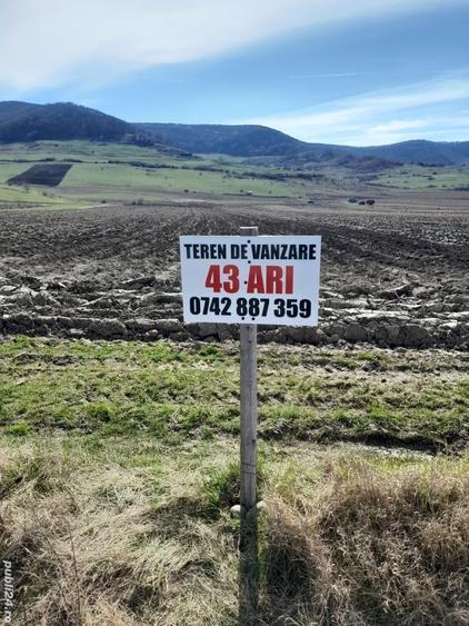 Teren de 4300 mp, în Arcalia