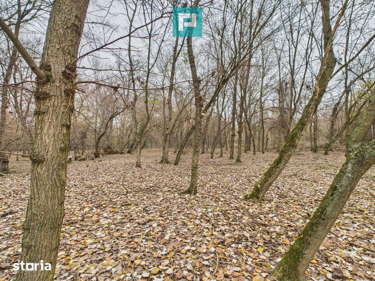 Teren de 5000 mp, în Periam