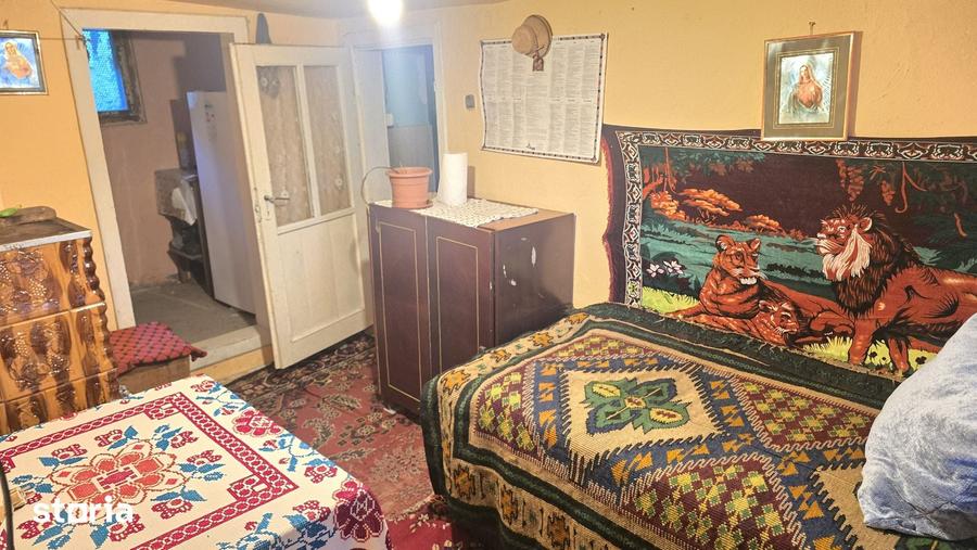 Vand casa in Deva, zona Viile Noi, suprafata de teren de 766 mp, - 11