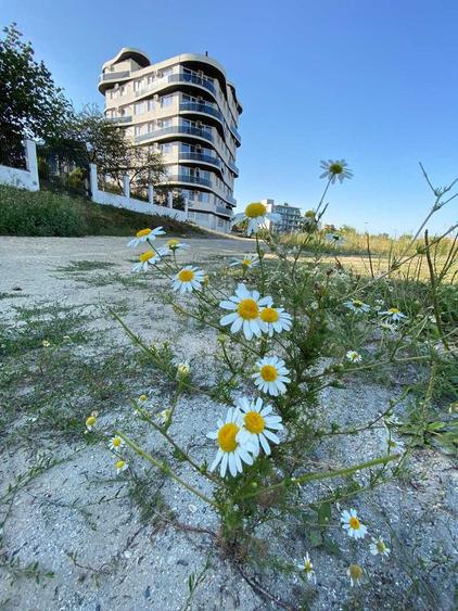 Apartament cu 2 camere decomandat în Nord