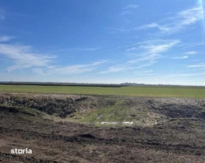 Teren de 5000 mp, în Dor Mărunt
