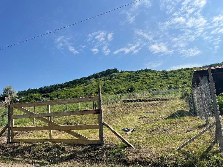 Teren de 1000 mp, în Schitu Duca