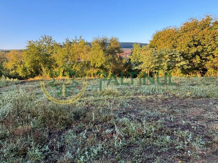 Teren agricol intravilan de 2617 mp, în Loamneș
