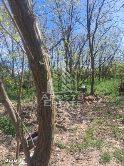 Casă cu 2 camere cu Teren 5075 Mp în Foeni