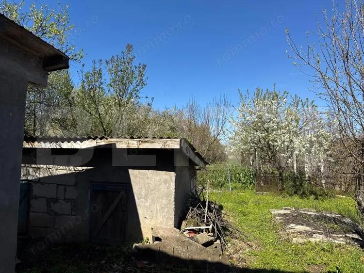 Casa Bradesti Dolj P+M, 1480 mp teren - 3