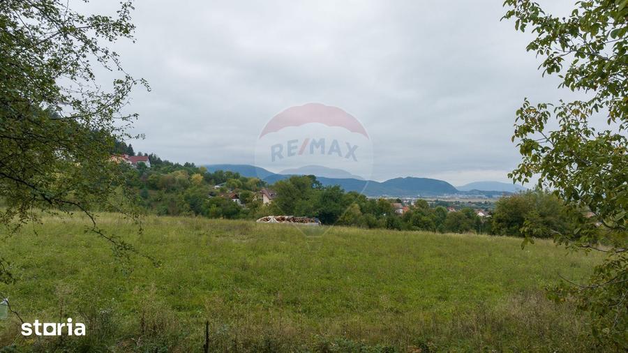 Teren de 3175 mp, în Poiana Angelescu