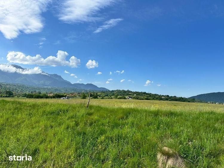 Teren de 1000 mp, în Bran