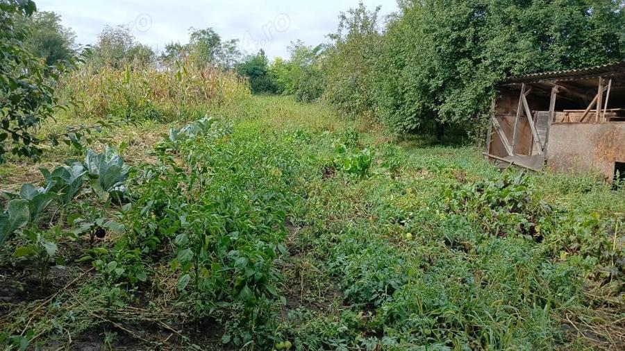 Casă cu 5 camere cu Teren 1000 Mp în Balda