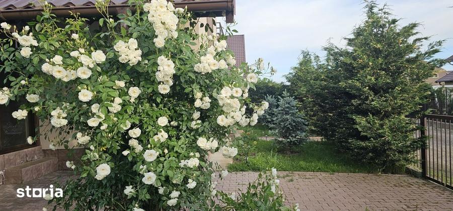 Casă cu 3 camere cu Teren 460 Mp în Doicești
