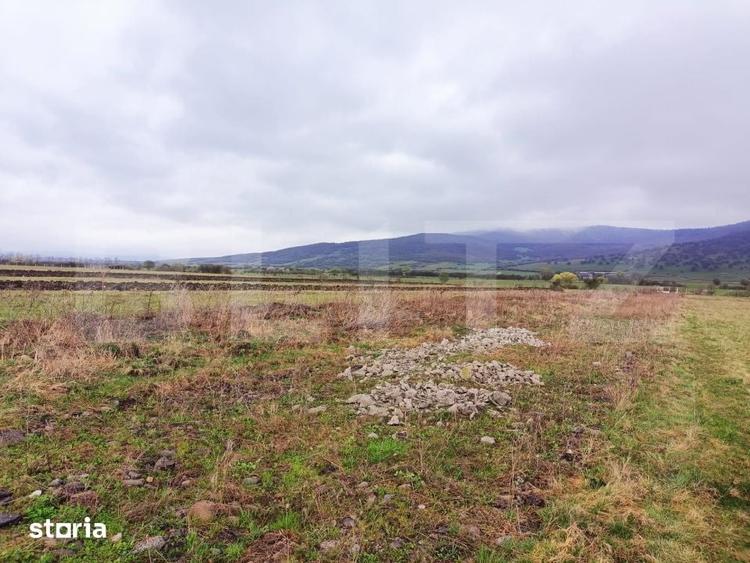 Teren de 9500 mp, în Central