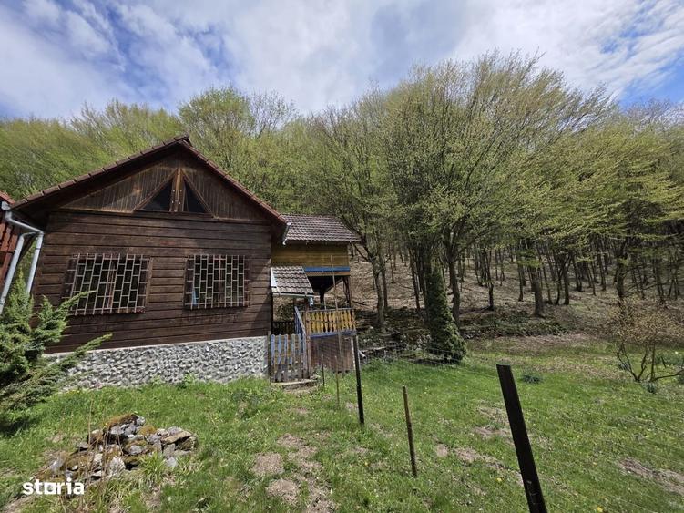 Casă cu 4 camere în Ighiel