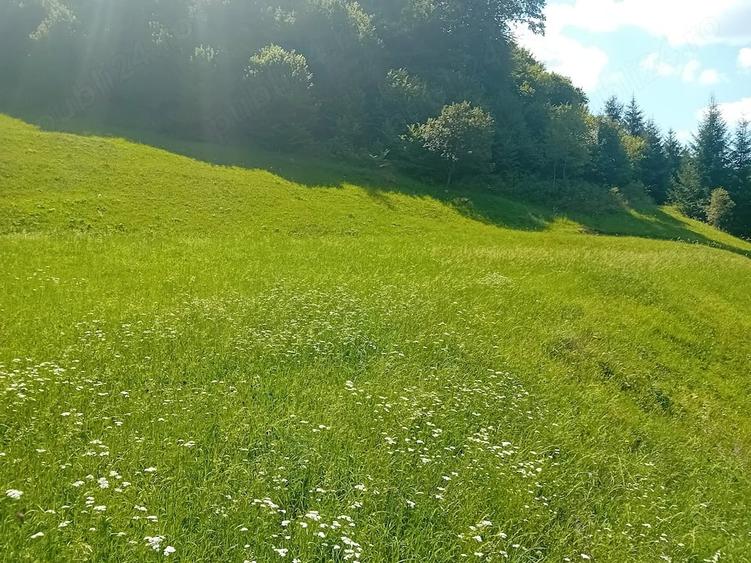 Teren de 5800 mp, în Dămuc
