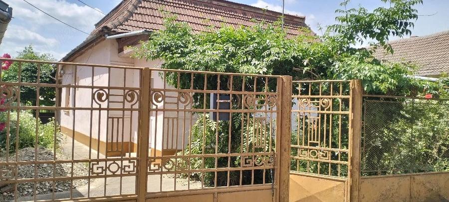 Casă cu 4 camere cu Teren 1507 Mp în Dudeștii Vechi
