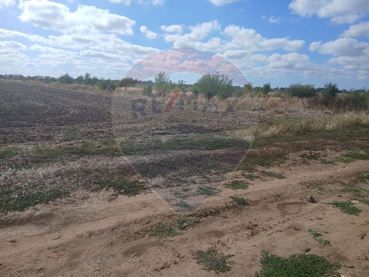 Teren Construcții intravilan de 4500 mp, în Dârvari