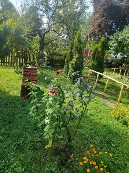 Casă cu Teren 1300 Mp în Piatra