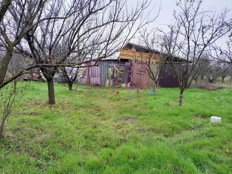 Casă cu 3 camere cu Teren 15000 Mp în Bărcănești