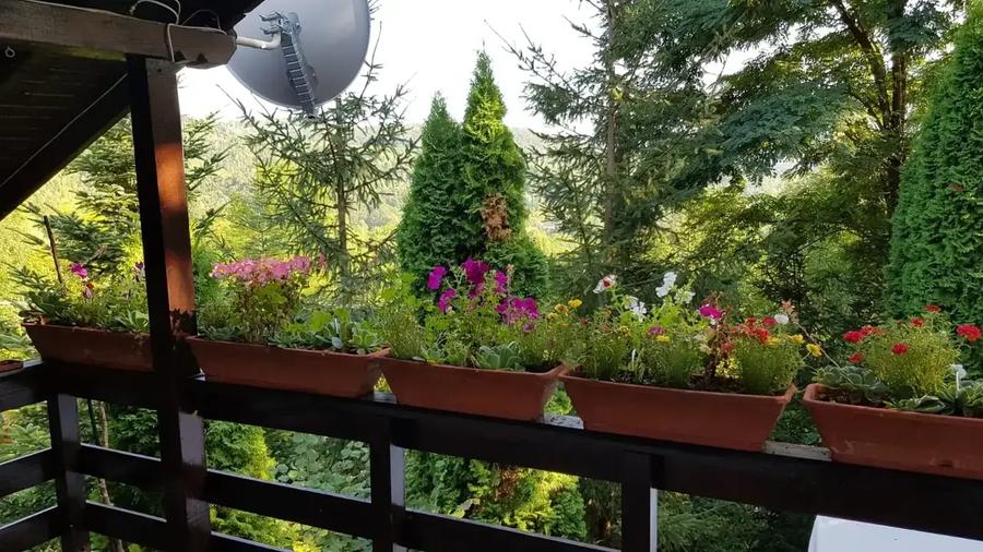 Casă cu 6 camere cu Teren 6200 Mp în Provița de Jos