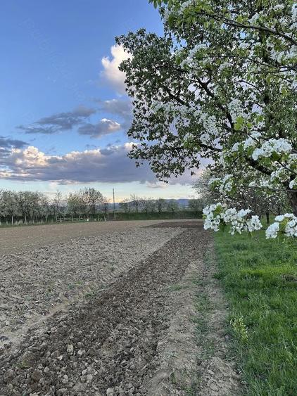 Teren de 1200 mp, în Blandiana
