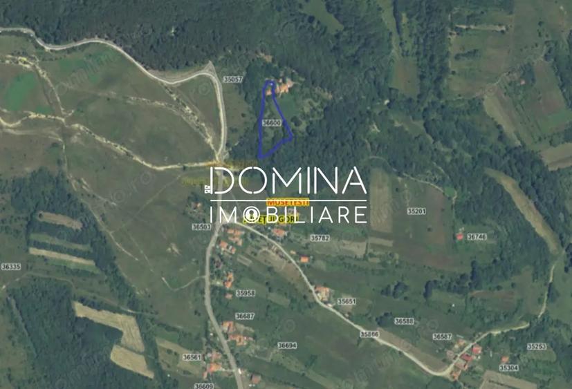 Teren generos 4790 mp + casa tradi?ionala, in loc. Mu?ete?ti - 4