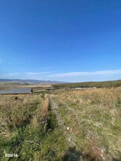 Teren de 2200 mp, în Ciurila