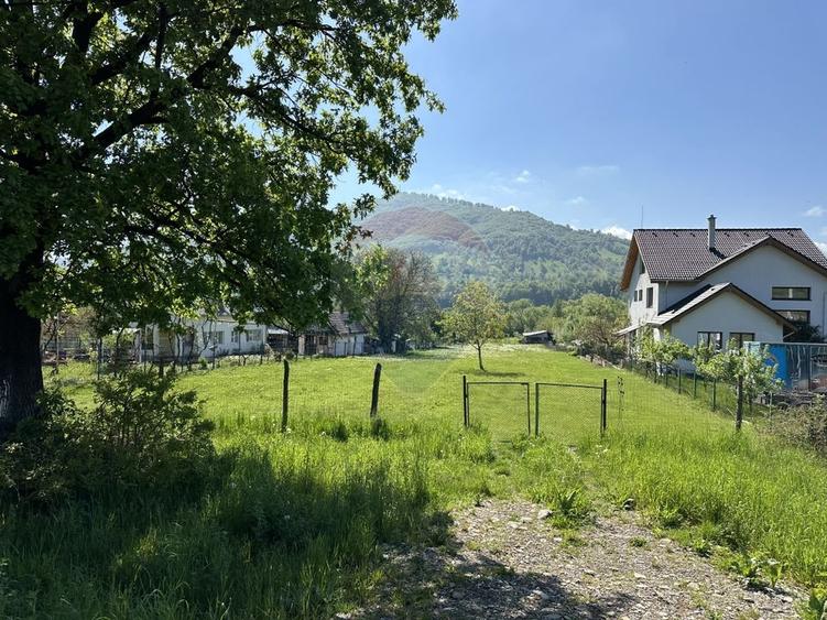 Teren Construcții intravilan de 3606 mp, în Pângărați