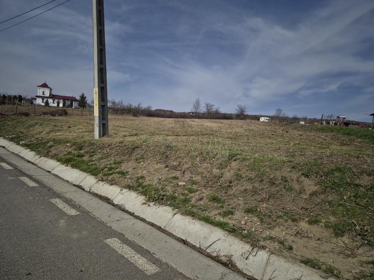 Teren intravilan Tomesti-Goruni - 5