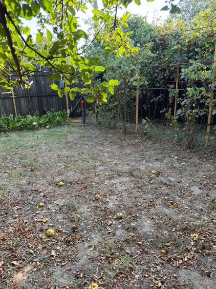 67500 EURO NEGOCIABIL Vand teren str. Carpenului 500 mp - 3