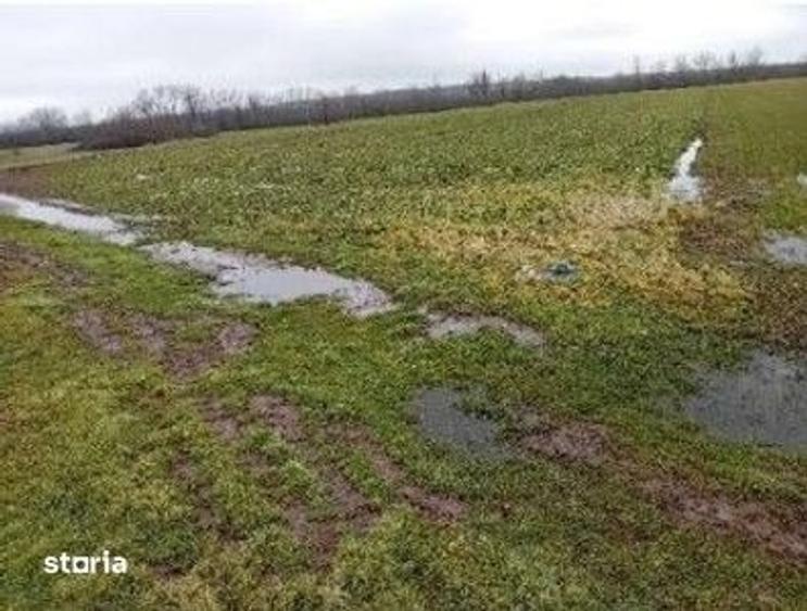 Teren de 833 mp, în Stolnici
