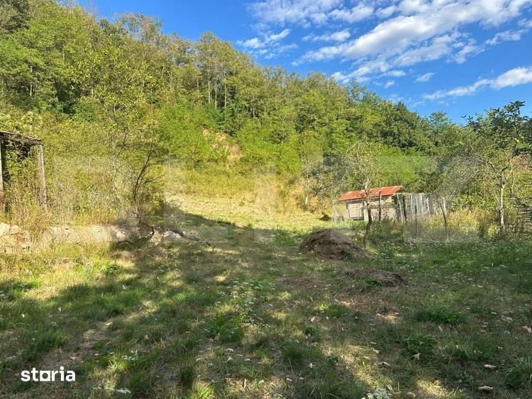Casă cu 3 camere cu Teren 10900 Mp în Băița