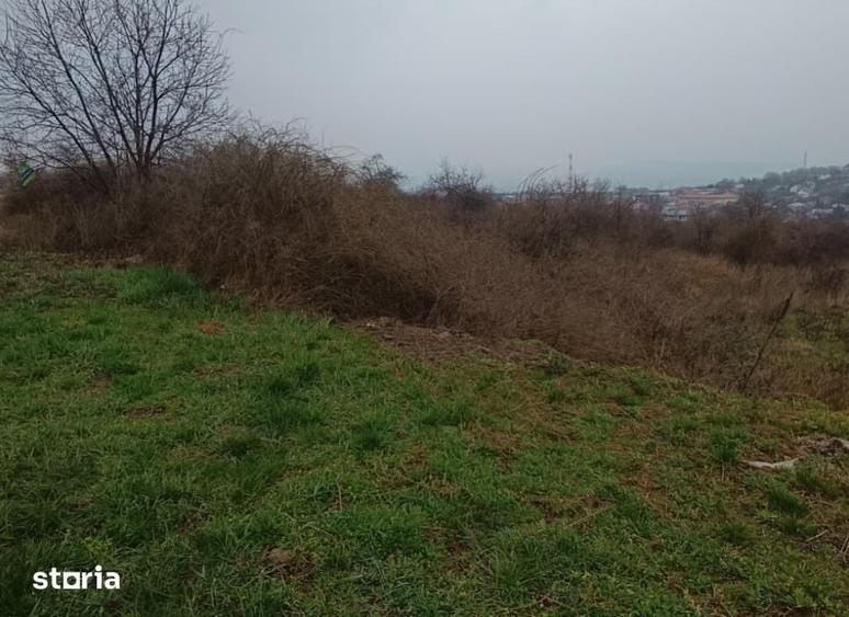 Teren de 11000 mp, în Tomești