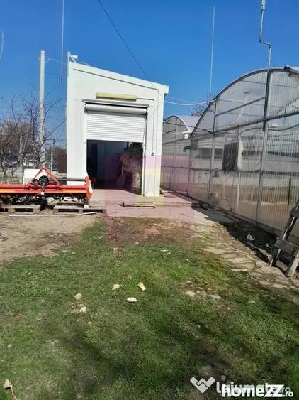 Teren în Roșiori